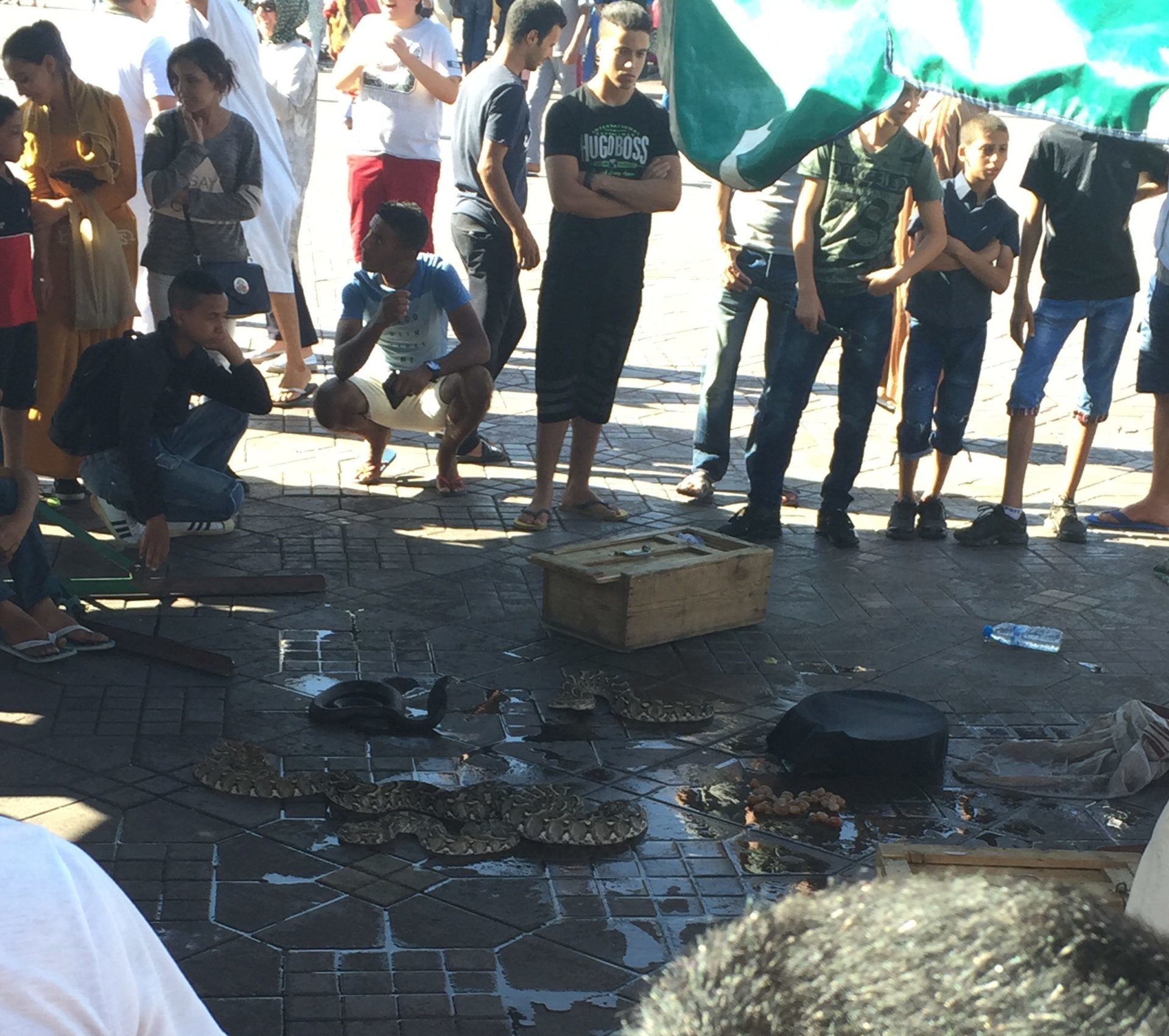 Snake Charmers in Marrakesh, Morocco